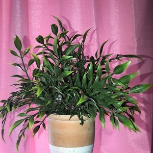 SEVEN artificial plants!!!